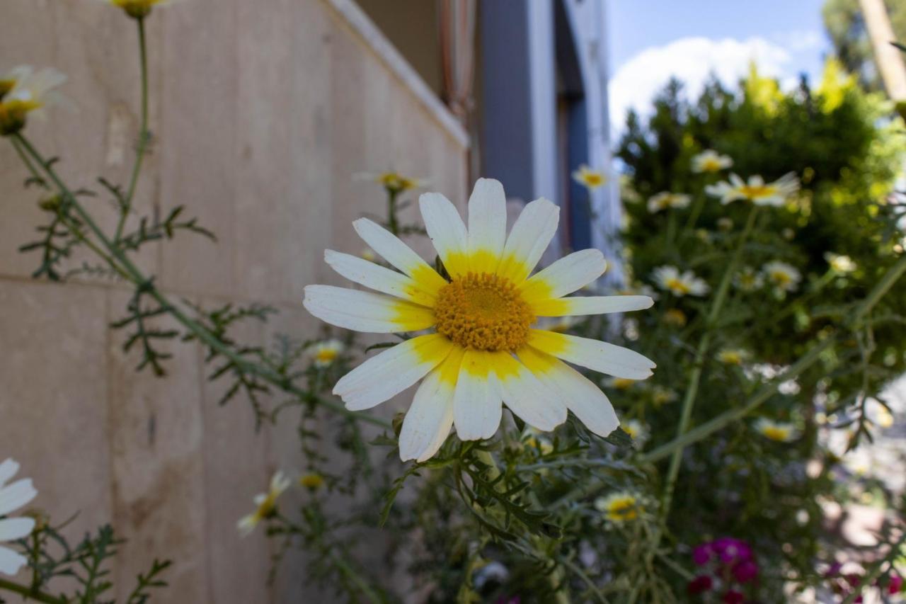 Guenes Apart Otel Pamukkale Exterior photo